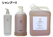 シャンプーＶイメージ